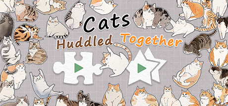 挤在一起的猫猫/Cats Huddled Together