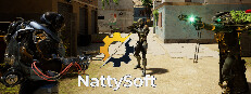 Stealth Raider