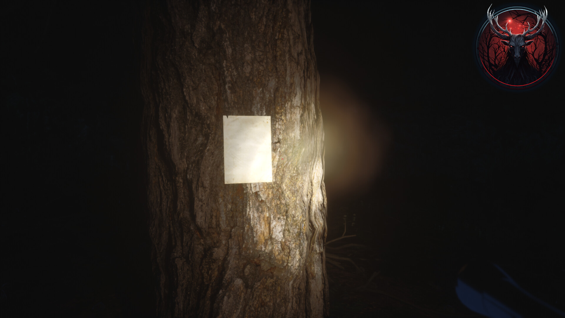 Gnarly Hike Demo (Full Content) #6