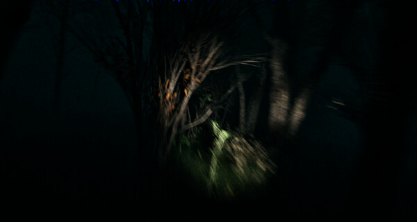 Big D Randyfor windows and Linux 1