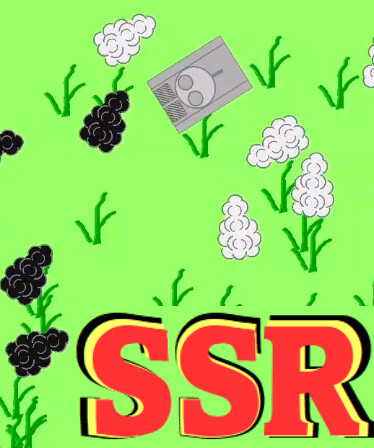 SSR