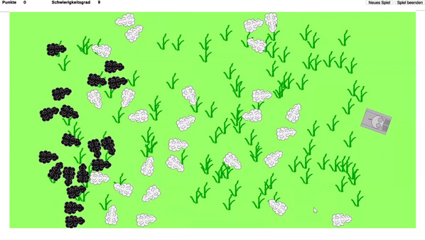 SSRfor windows and Linux 1