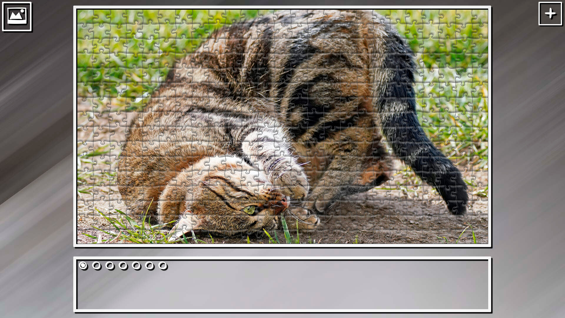 Super Jigsaw Puzzle: Generations - Cats 2 #18