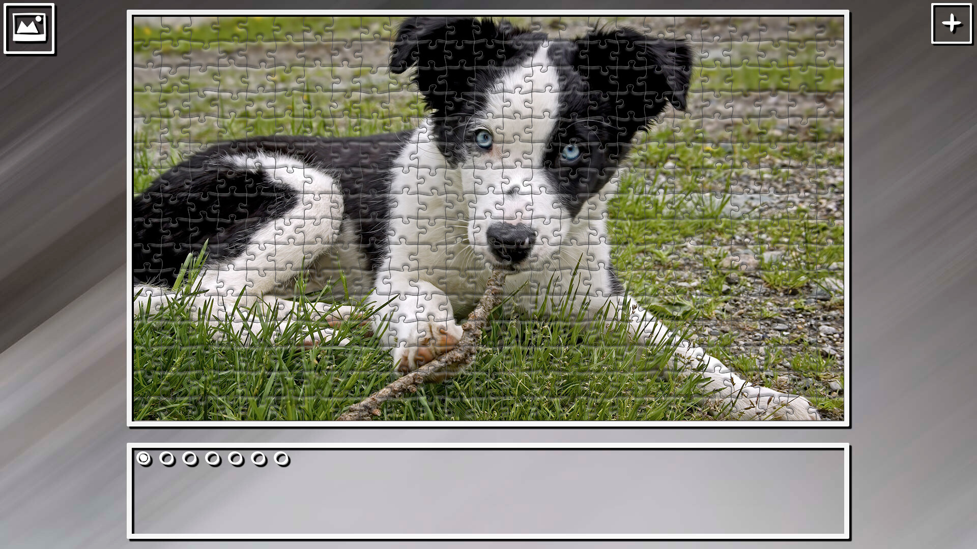 Super Jigsaw Puzzle: Generations - Dogs 2 #11