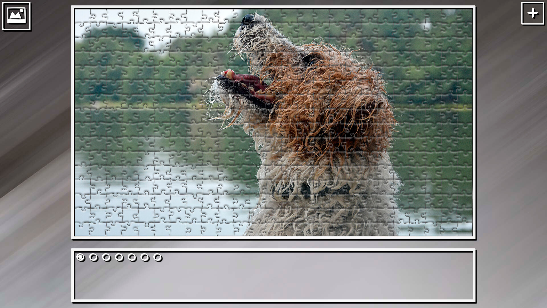 Super Jigsaw Puzzle: Generations - Dogs 2 #19