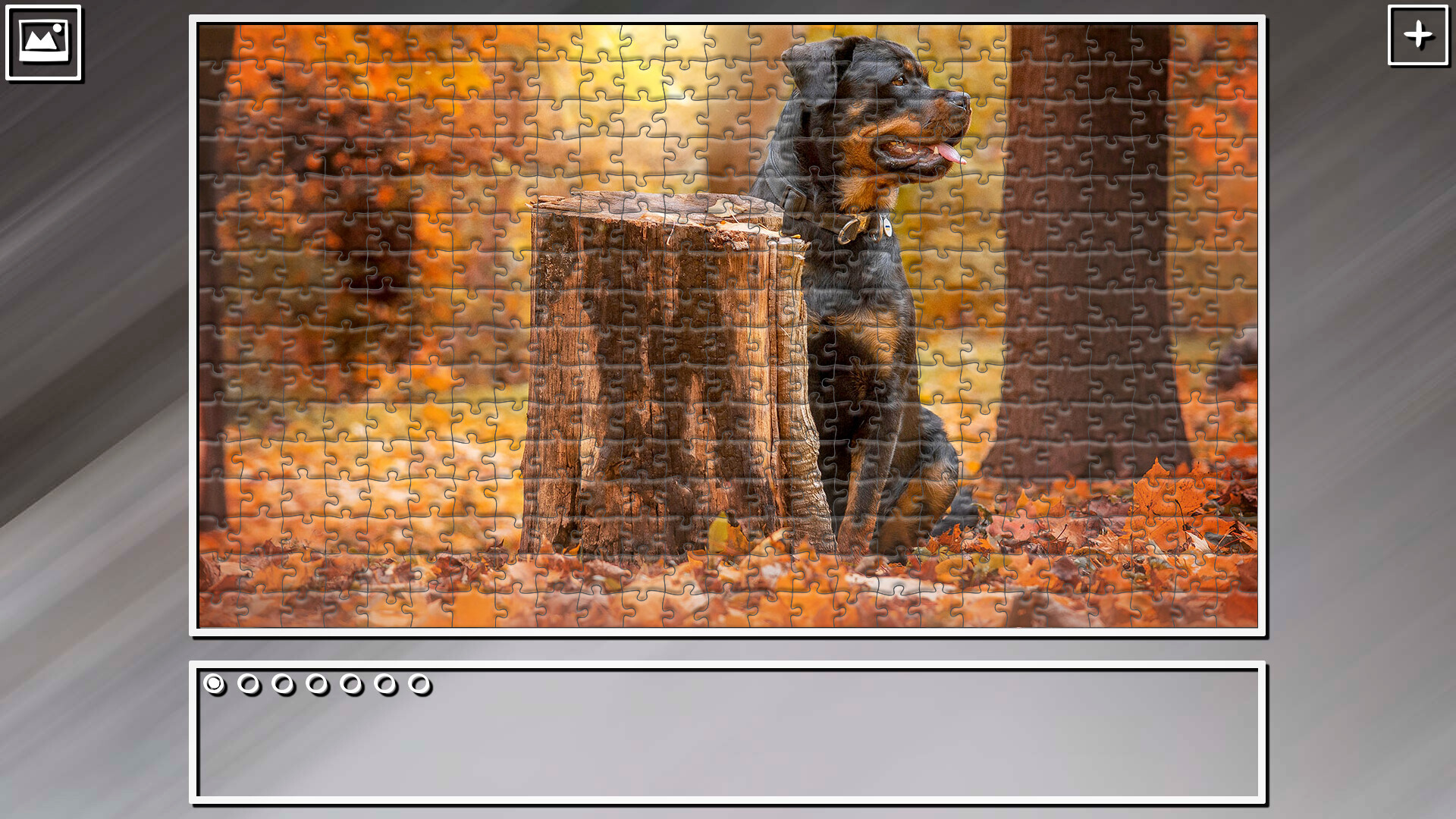 Super Jigsaw Puzzle: Generations - Dogs 2 #26