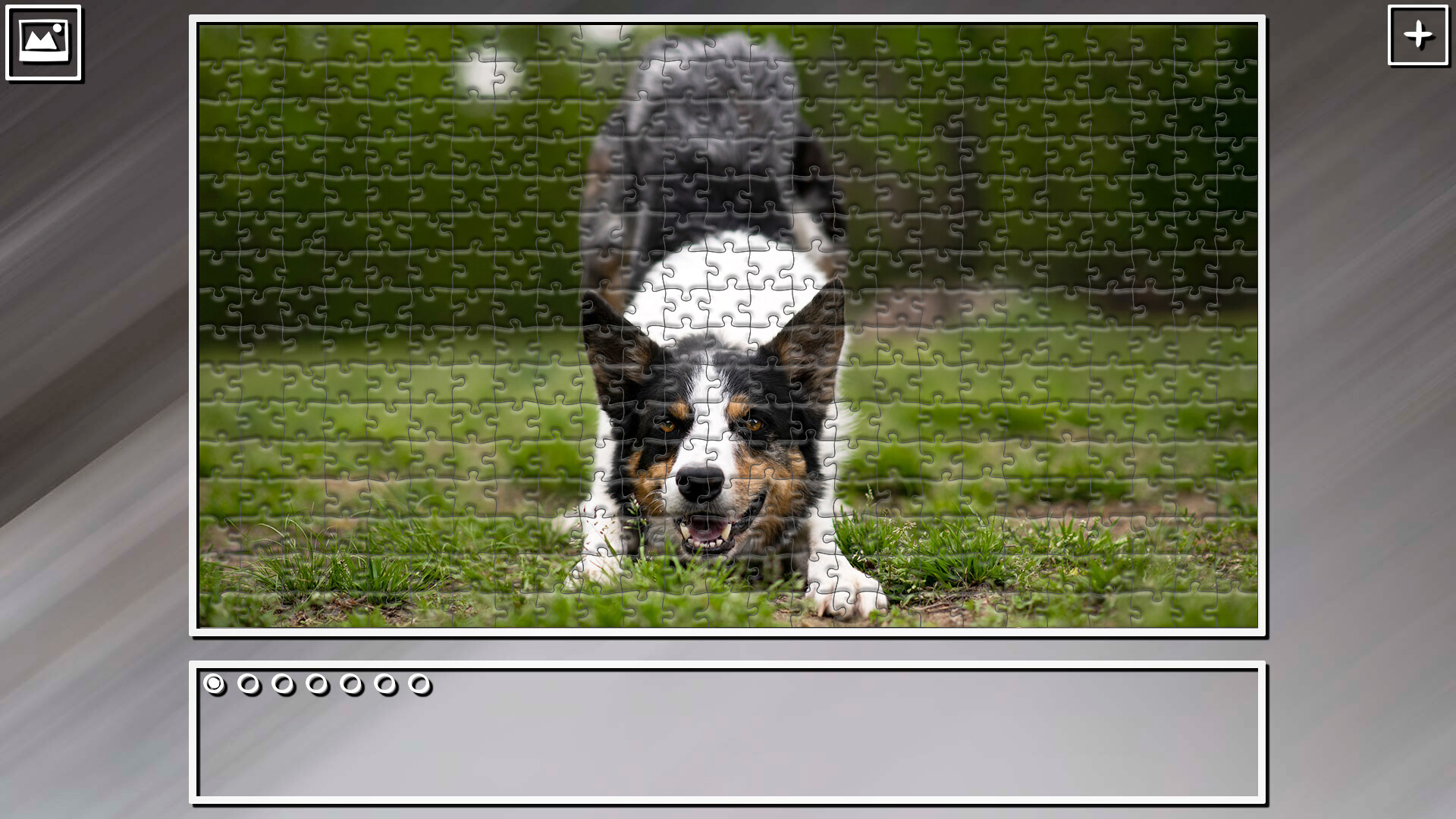 Super Jigsaw Puzzle: Generations - Dogs 2 #4