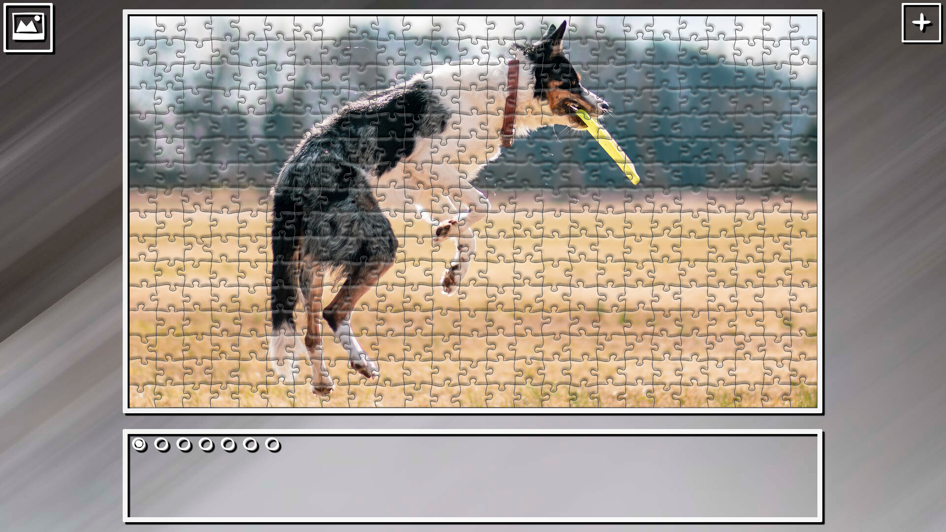 Super Jigsaw Puzzle: Generations - Dogs 2 #16