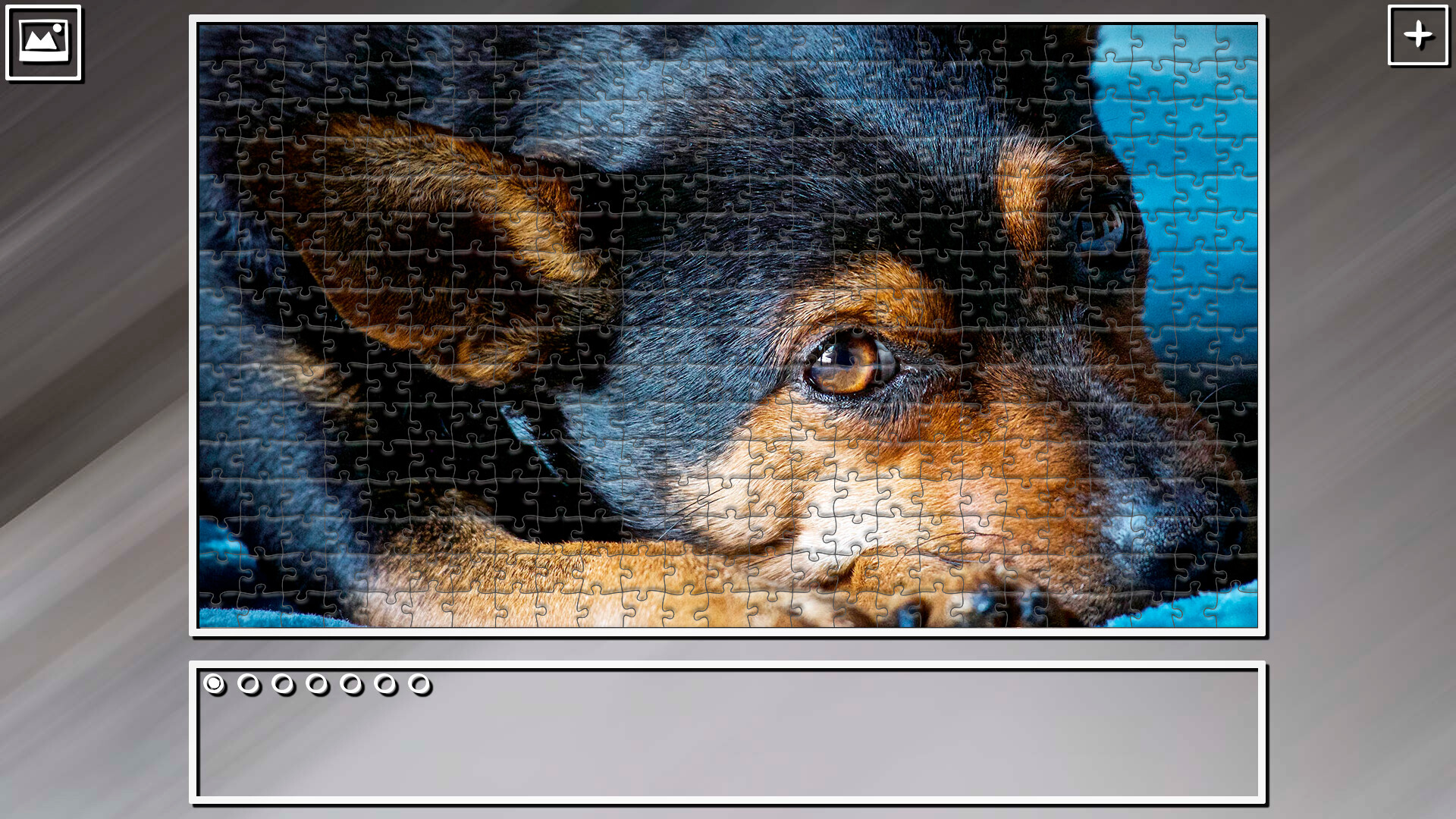 Super Jigsaw Puzzle: Generations - Dogs 2 #10