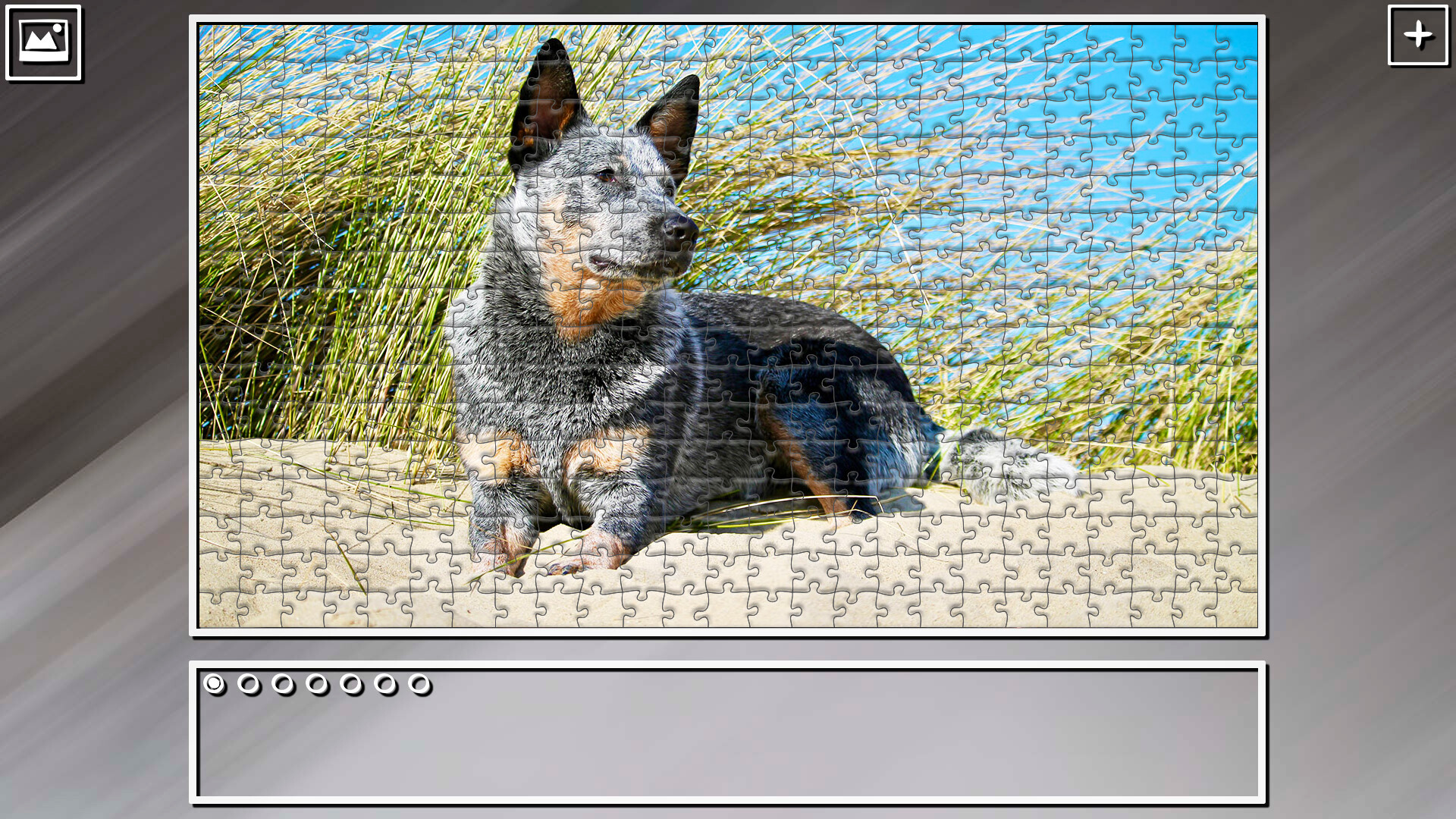 Super Jigsaw Puzzle: Generations - Dogs 2 #13