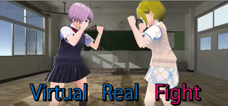 Virtual Real Fight header banner
