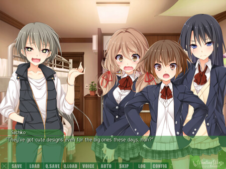 Wanting Wingsfor windows and Linux 1