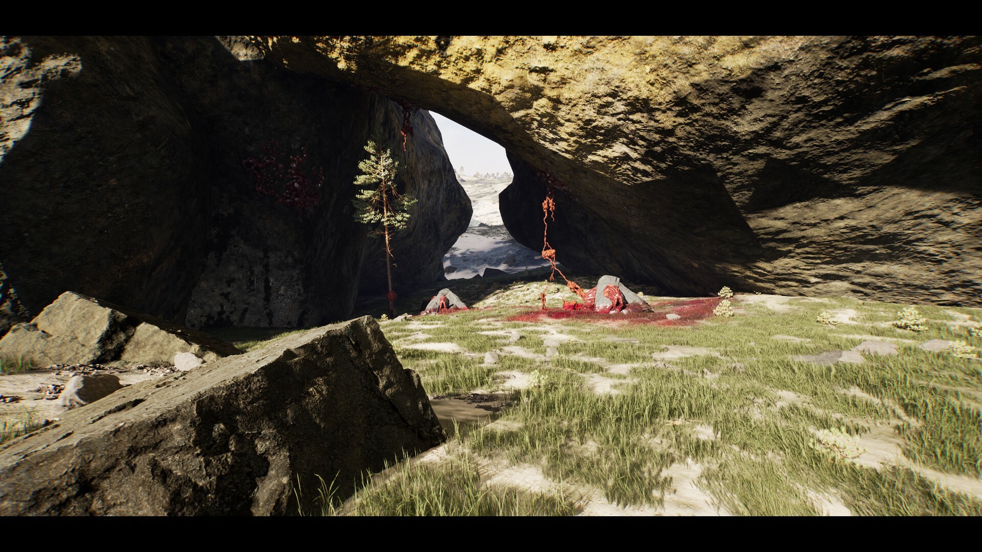 QANGA WakeUp Cyborg #14