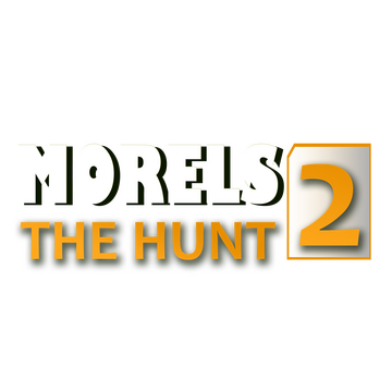 Morels: The Hunt 2