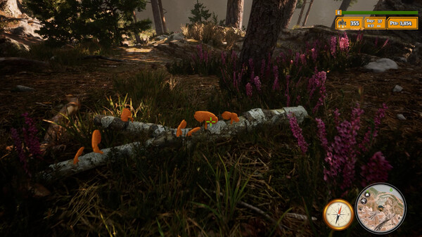 Morels: The Hunt 2 screenshot 5