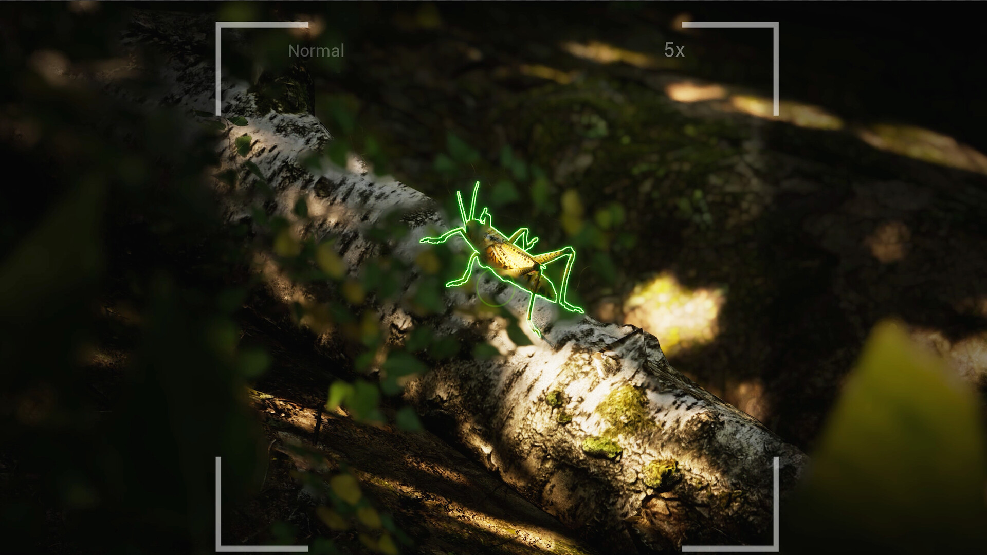 Morels: The Hunt 2 screenshot