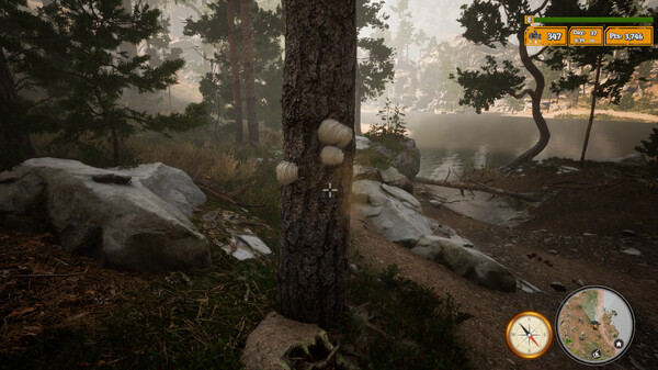 Morels: The Hunt 2 screenshot 9