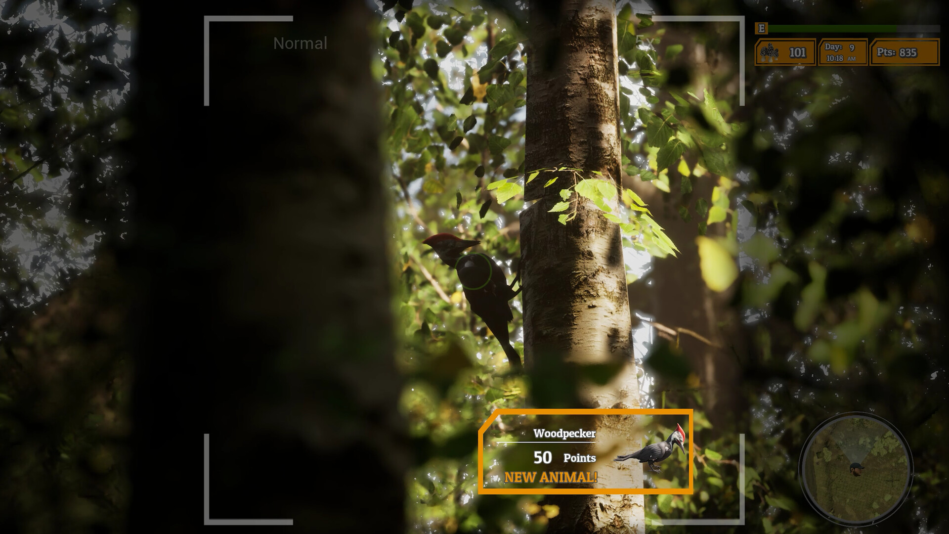 Morels The Hunt 2 on Steam