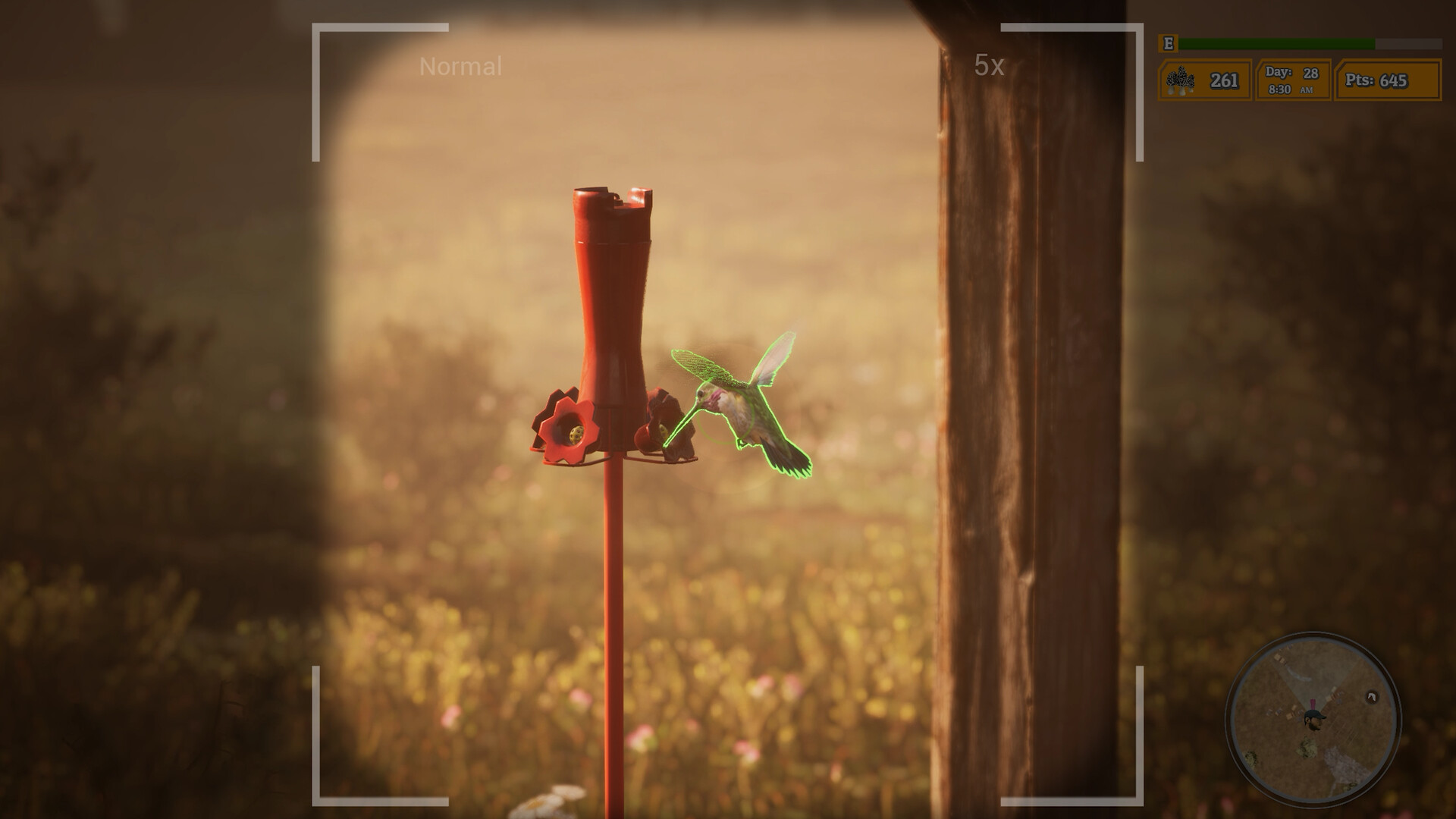 Morels The Hunt 2 on Steam