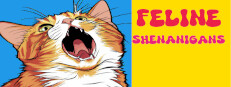 Feline Shenanigans