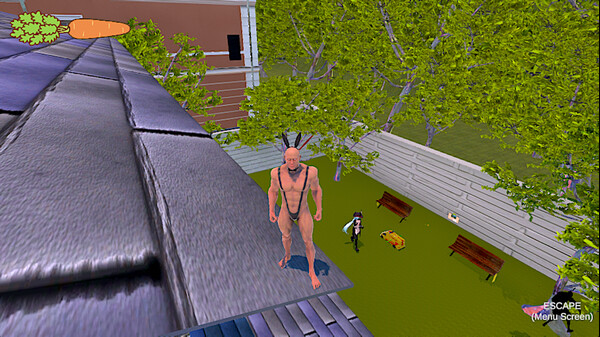 Fairy Carrotsfor windows and Linux 1