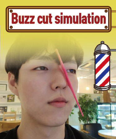 Buzz Cut Simulation