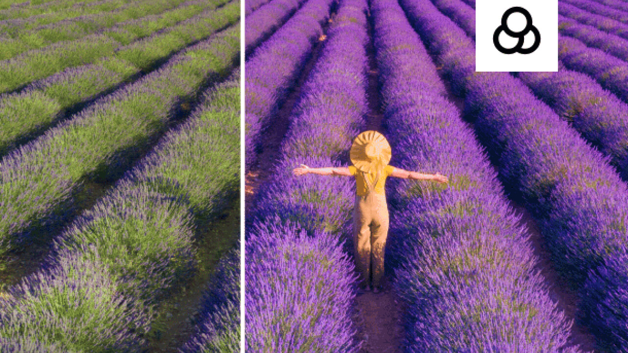 Movavi Video Suite 2024 - Adventure Colors Gift Pack #0