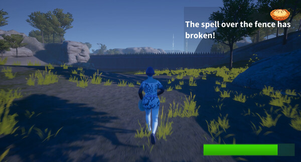 Zopafor windows and Linux 1