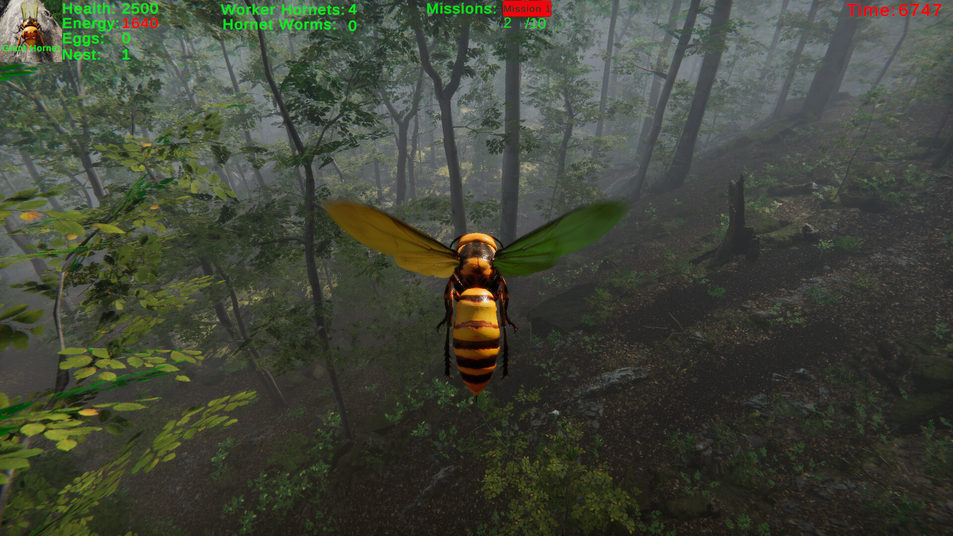 Giant Hornet #2
