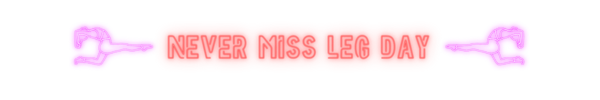 33.png?t=1702151510