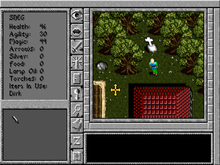 Prophecy of the Shadow game for Linux 1