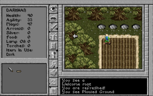 Скриншот из Prophecy of the Shadow