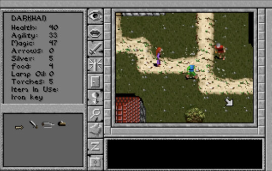 Скриншот из Prophecy of the Shadow