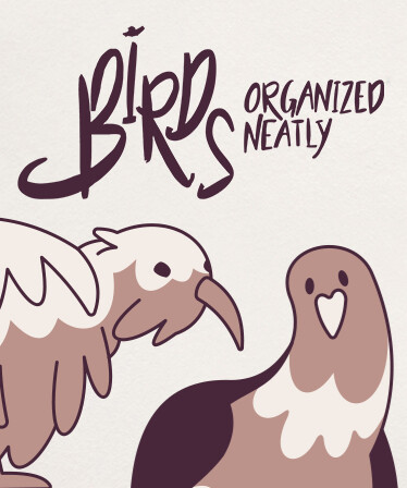 Birds Organized Neatly