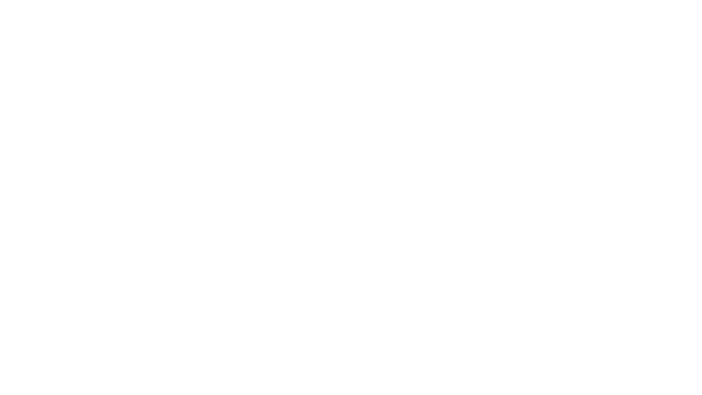 FPV Kamikaze Drone