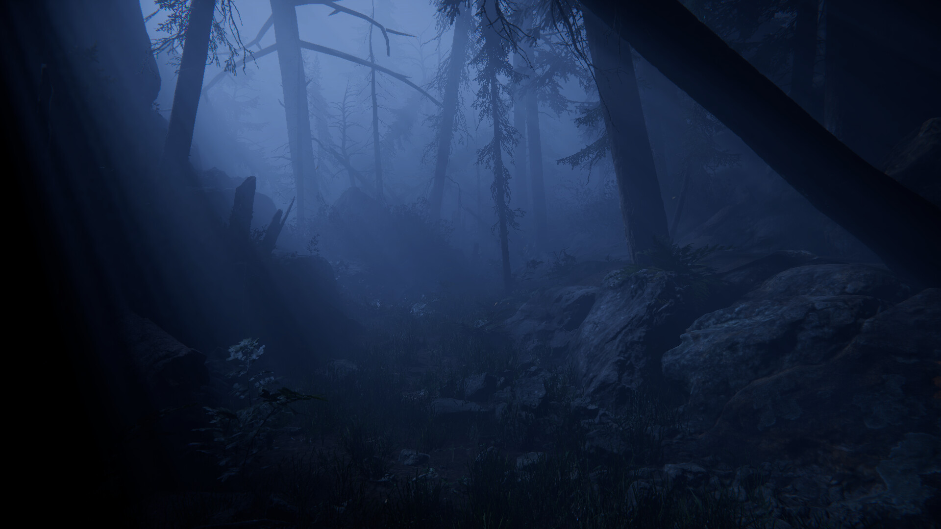 Together After Dark #7