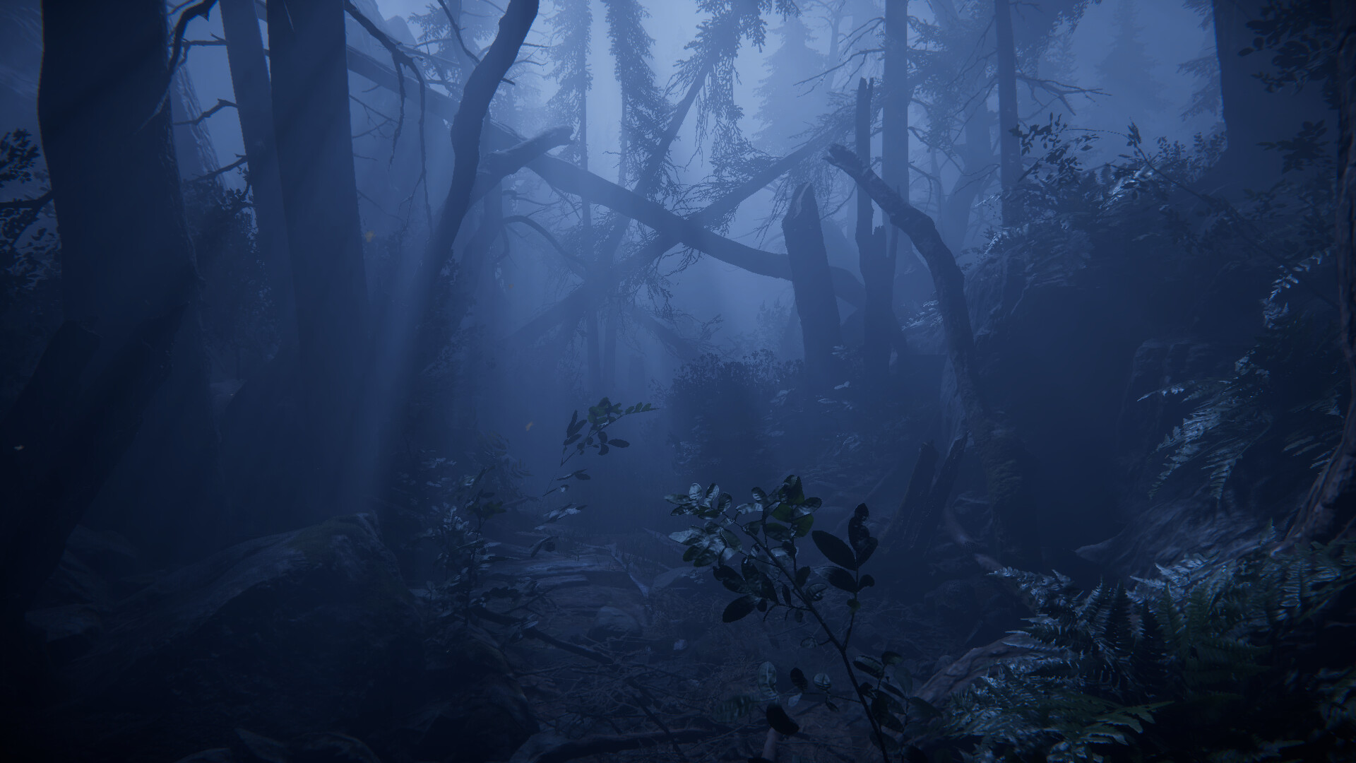 Together After Dark #9