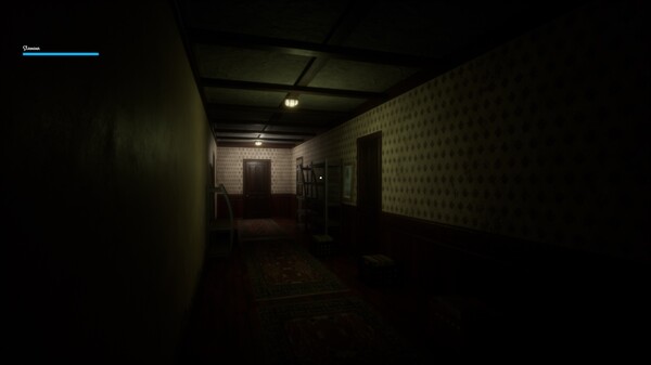 Скриншот из Veranoia: Nightmare of Case 37