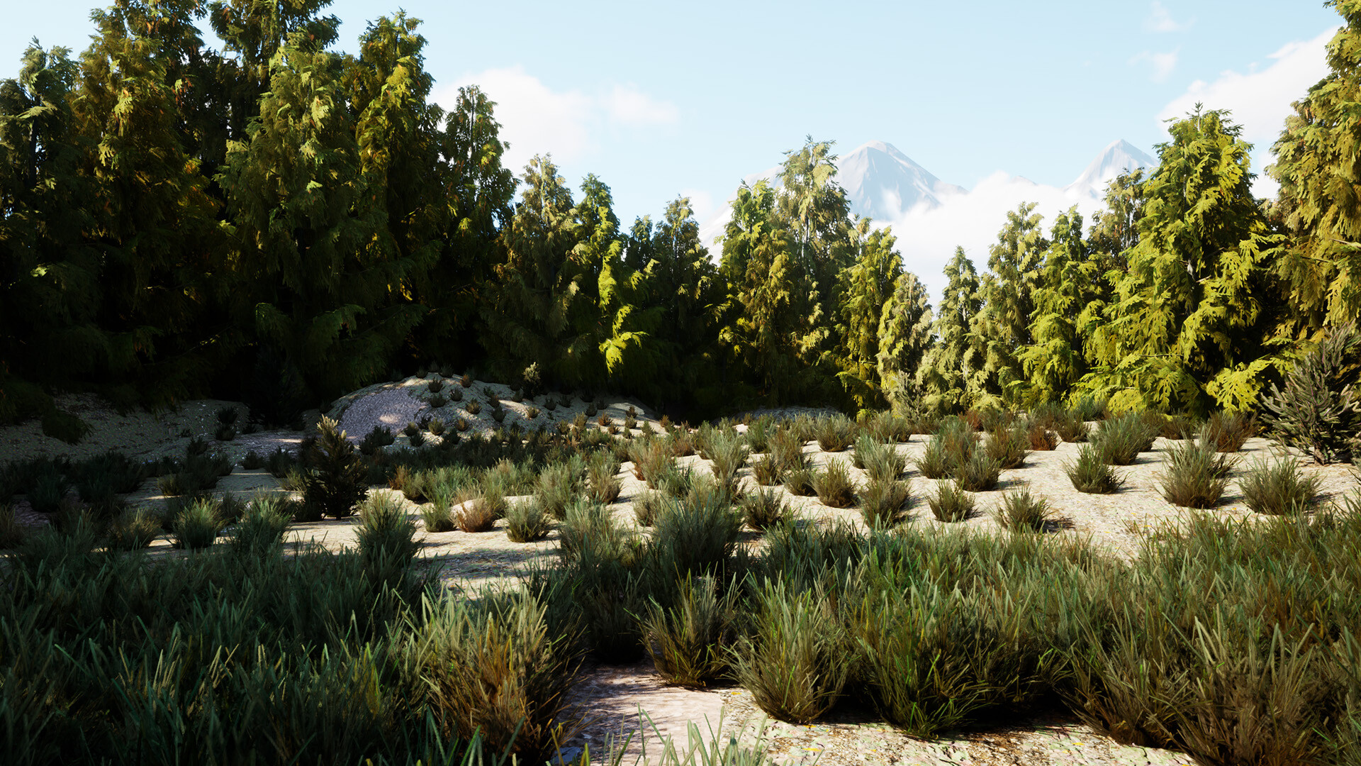 The Cadet Files : Scene Unseen #4