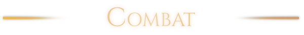 combat.png?t=1711382489