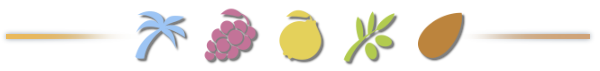 lineBreak.png?t=1711385946