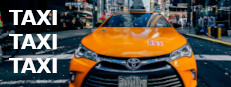 TAXI TAXI TAXI 게임 이미지