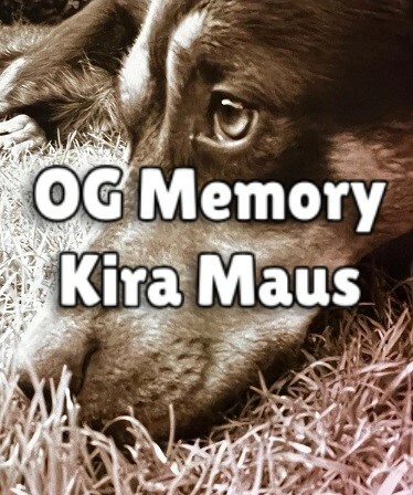 OG Memory: Kira Maus