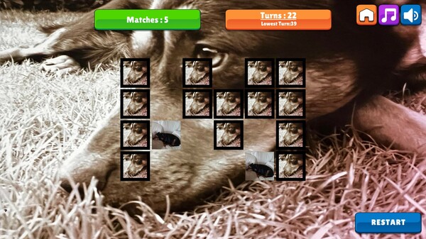 OG Memory: Kira Maus game for Linux 1