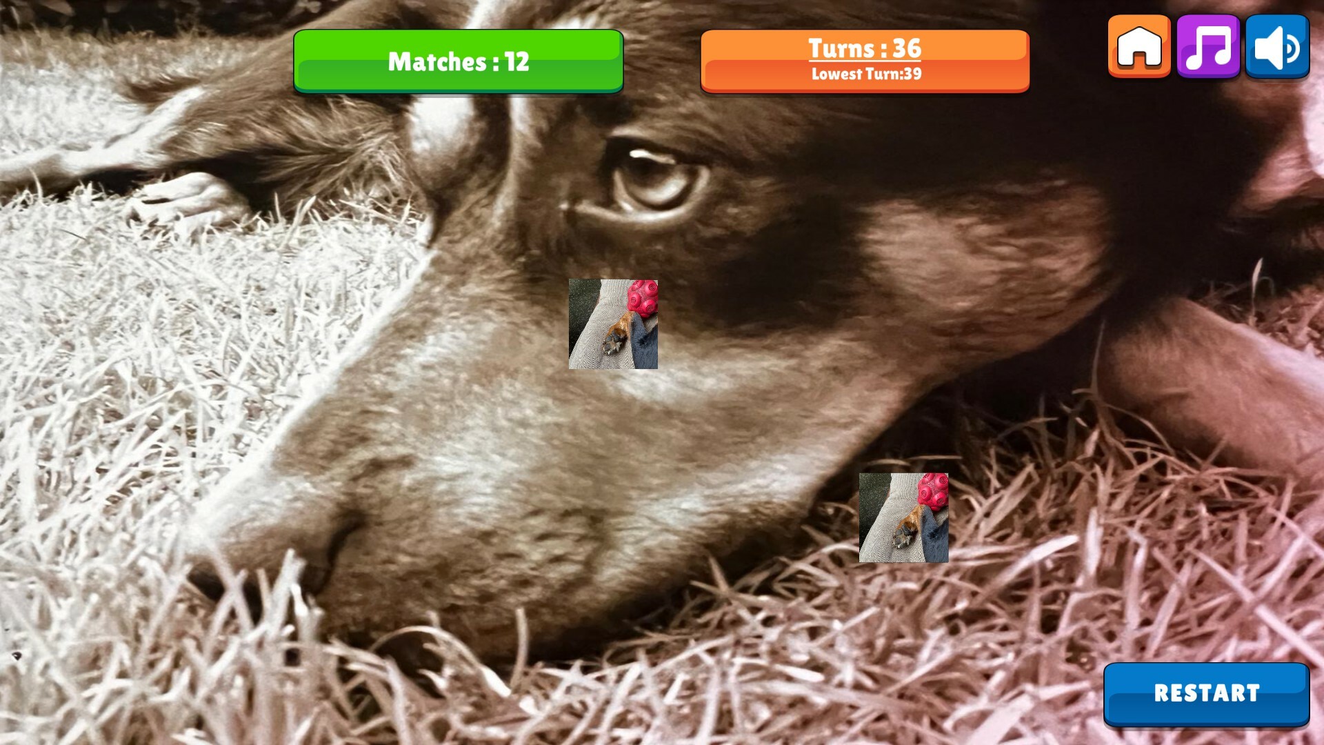 OG Memory: Kira Maus screenshot 1