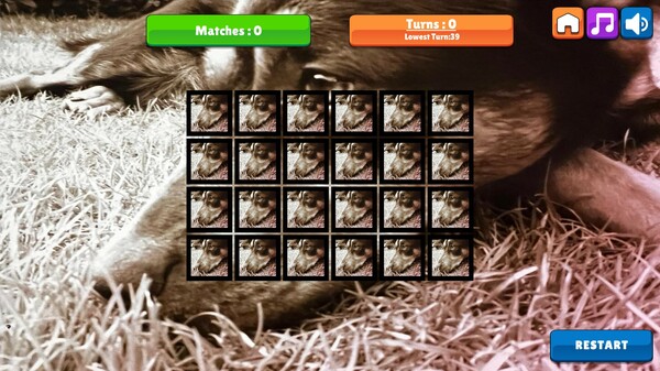 OG Memory: Kira Mausfor windows and Linux 1