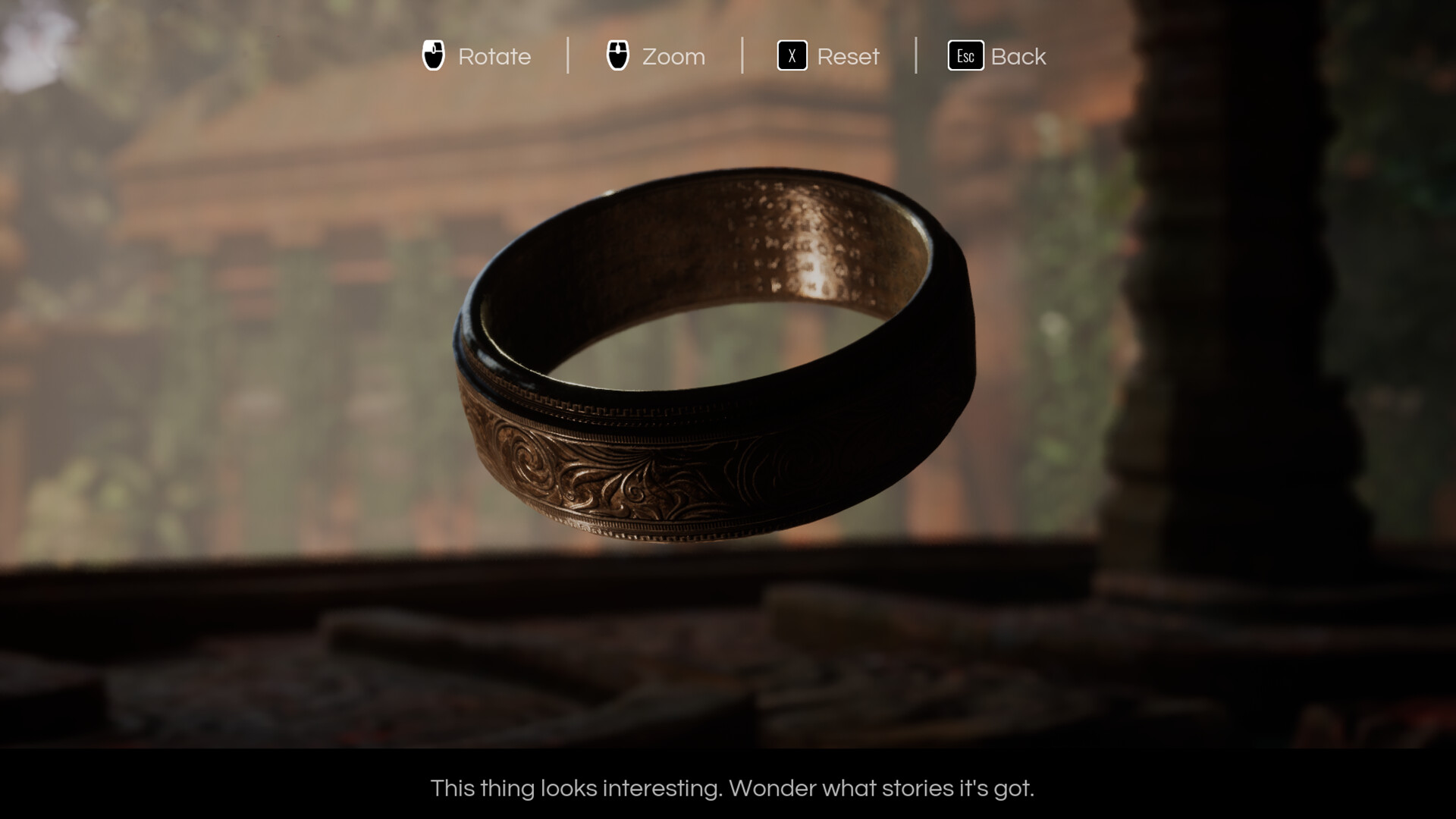 Cosmic Horizons: Path of the Wanderer #2