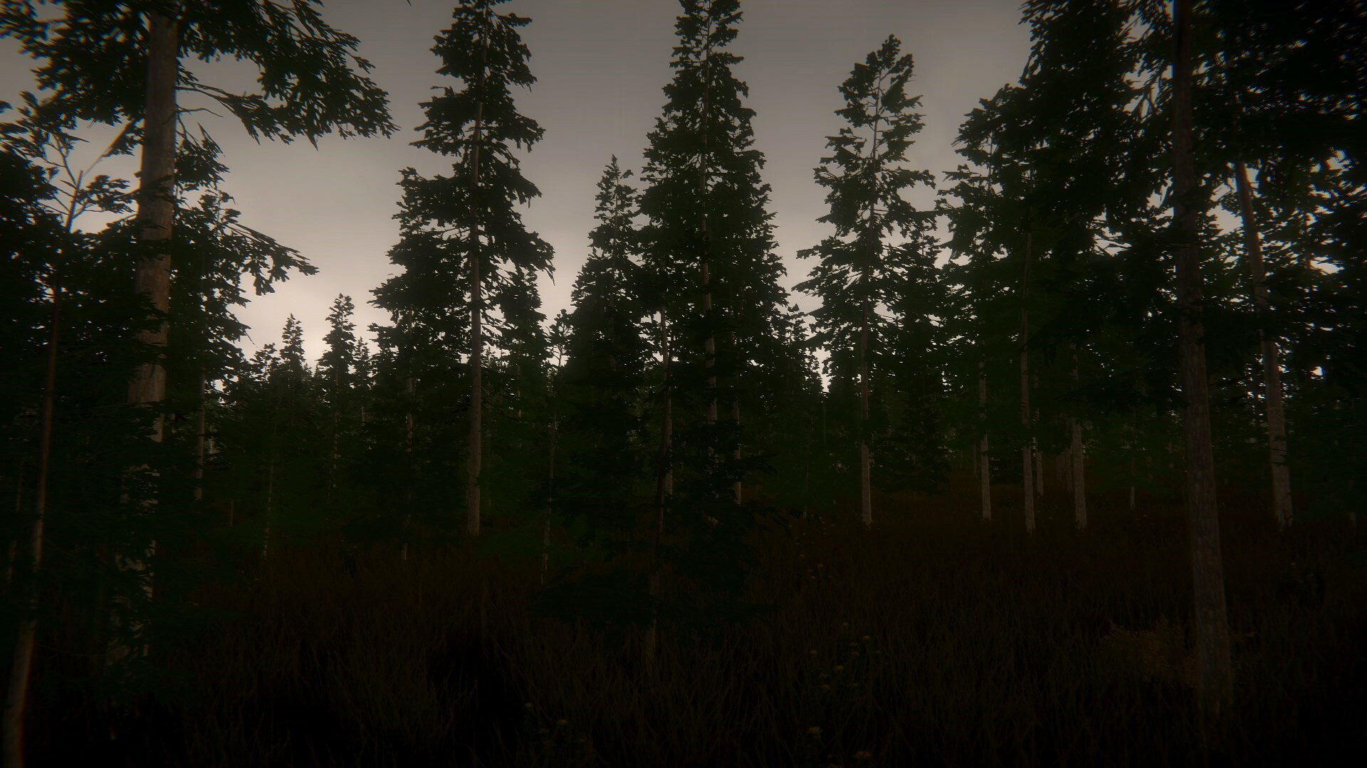 Pastor's Lake: The Game #5