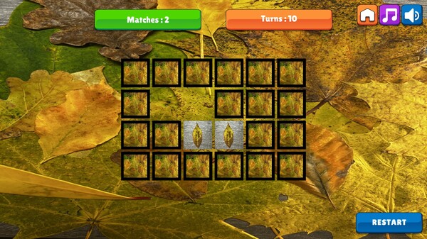 OG Memory:  Fall 2K23 game for Linux 1