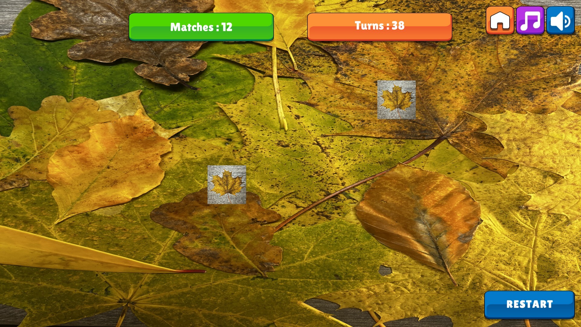 OG Memory: Fall 2K23 screenshot screenshot 4